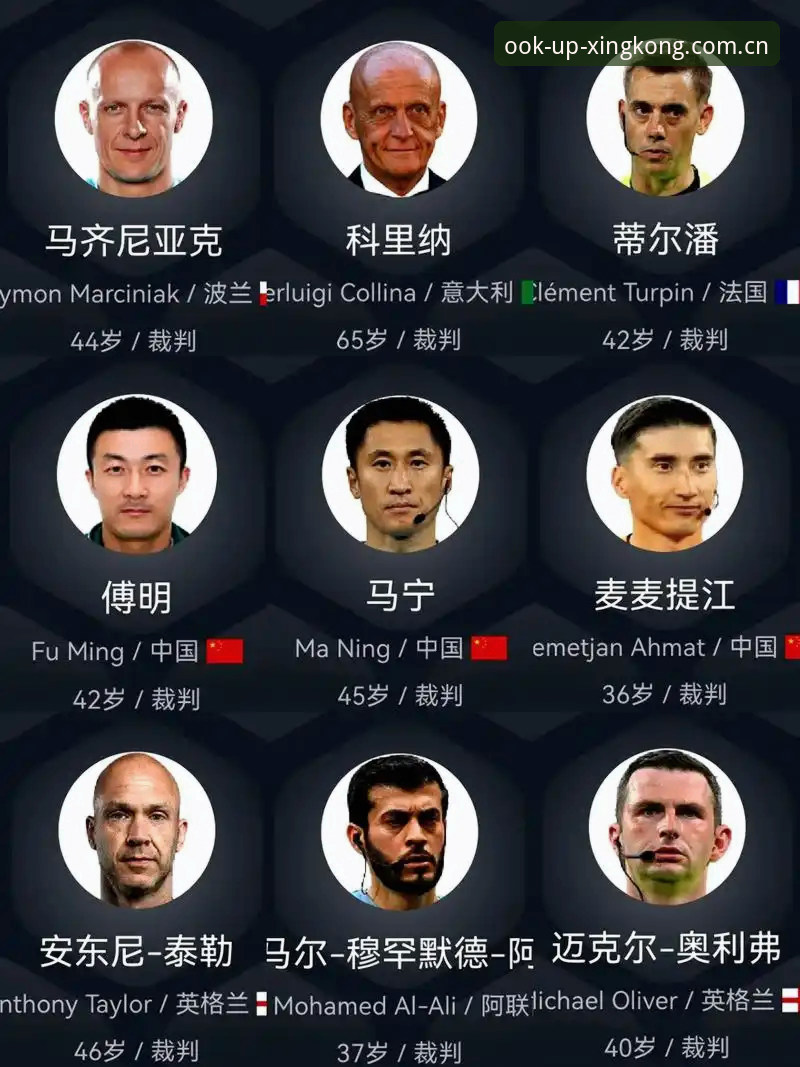 马宁世界杯执裁背后的裁判哲学与球迷关系解析