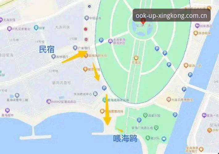 星海漫游APP登录入口使用详解：从下载到数据查询全流程